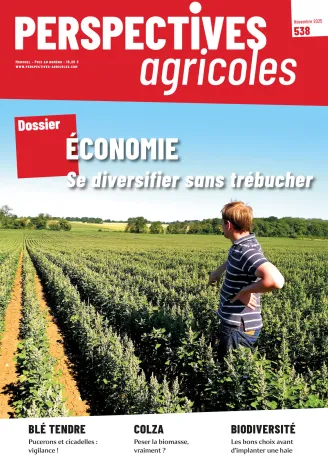 Se diversifier sans trébucher