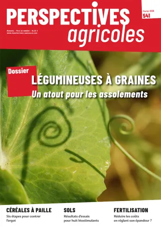 Légumineuses à graines : un atout pour les assolements