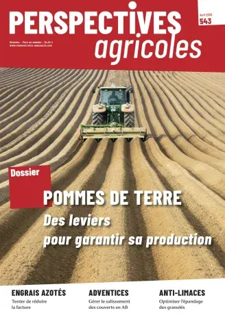 Pomme de terre : des leviers pour garantir sa production