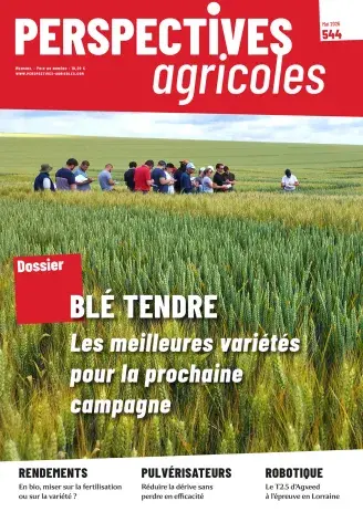 Blé tendre : les meilleures variétés pour la prochaine campagne