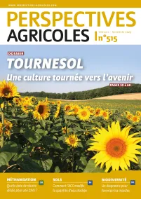 Tournesol : une culture tournée vers l’avenir